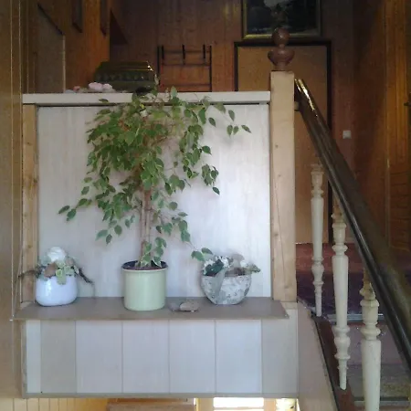 Zur Alten Eiche Bed and Breakfast 3*