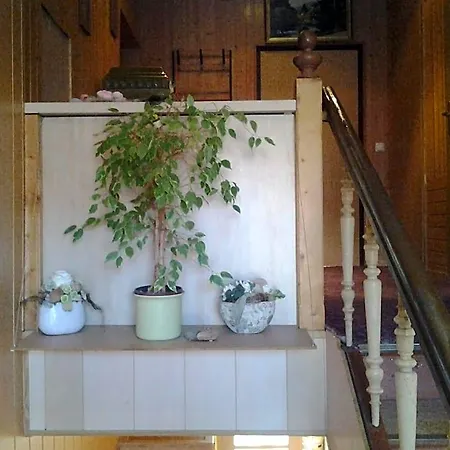 Zur Alten Eiche Bed and Breakfast