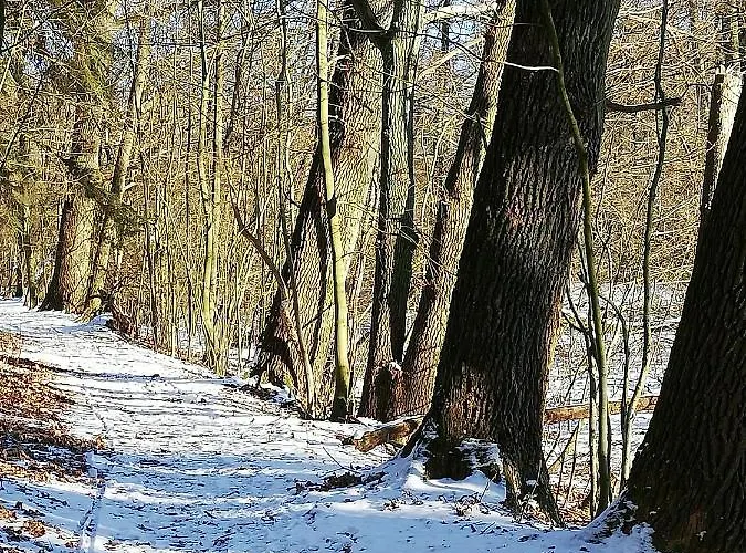 Zur Alten Eiche Stepenitz