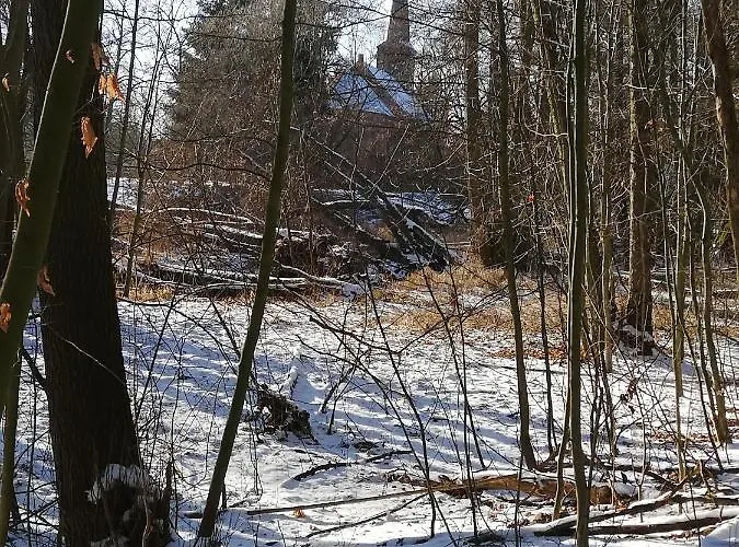 Zur Alten Eiche Oda ve Kahvaltı 3*